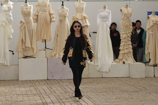 藝術(shù)設(shè)計(jì)學(xué)院2016級(jí)服裝制作工藝3職業(yè)裝課程教學(xué)匯報(bào)——服飾研發(fā)與走秀展示