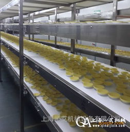 食品級皮帶輸送機,食品輸送機,廠家推薦產品 網帶輸送機 塑料網帶輸送和 價格 谷瀑環保